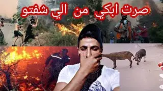 ردةفعل سوري على الحرائق في الجزائر حريق دمر الغابات صرت ابكي😭