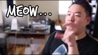 Asian American Masculinity: A Study in New Media