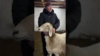 ИСЫК-КӨЛДӨГҮЛӨР МЫЙМАН ДОСТ ЭКЕН, ТАҢ КАЛДЫМ.РАХАТ ЧОҢ СЫЙ ҮЧҮН 🙏 #арашанкучкорлар 