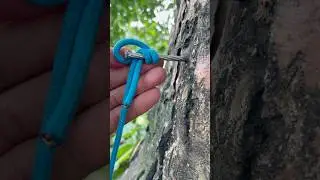 World Simplest Knot till Now!! #simple #tips #shorts