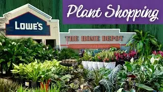 Приключение по шопингу в магазине Big Box Store: Lowe's против Home Depot