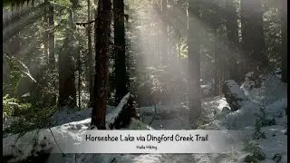 Hiking Horseshoe Lake via Dingford Creek trail Middlefork Snoqualmie
