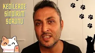KEDİLERDE SİNDİRİM SORUNU ? ( KEDİLERDE GAZ VE HAZIMSIZLIK SORUNU-ÇÖZÜM ÖNERİLERİ )