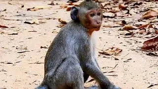 Feeling so sad!! Poor Janet lost mom and she start find her mom every where, Why Jane leave..