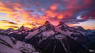 NATURE UNTAMED: 4K Cinematic Nature Montage