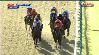Wolowitz- Unibet 3 Year Old Sprint All-Weather Championships Conditions Stakes (2016)