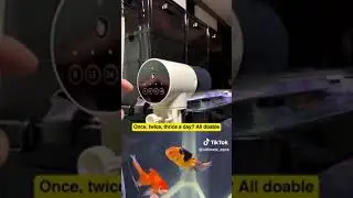 🐟 For your fish-feeding needs, grab a multi-functional feeder