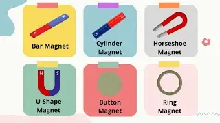 SCIENCE YEAR 1 DLP MAGNETS