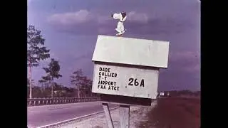 Everglades Region: An Ecological Study (1972) Florida swamps