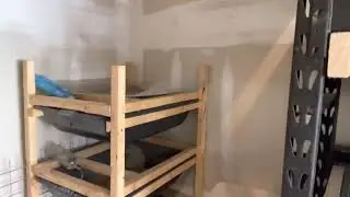 ASF Rat -Rack Update - Huge grow out bins