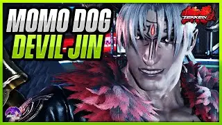 T8 Season 2 ▰ MomoDog Legendary Devil Jin ▰【Tekken 8 Season 2 High Level Gameplay】