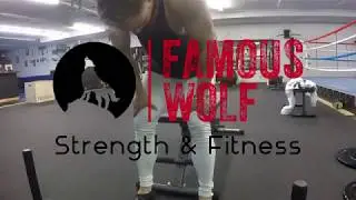 Gym Companion #0001 Famous Wolf Strength & Fitness Podcast