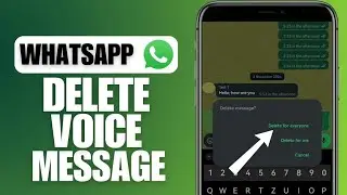How To Delete Voice Message On WhatsApp | iOS & Android