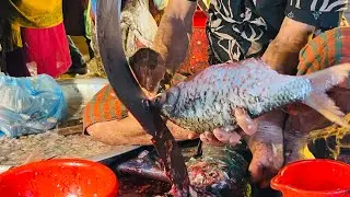 Fish Cutting 👍Amazing Sorpoti Fish Cutting Skillis 🐬By Expart Cutter Man | fish