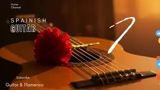 Flamenco Lounge Vibes | Spanish Guitar Instrumental Playlist for Relaxing Evenings