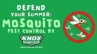 Defend Your Summer: Mosquito Pest Control by Knox Pest Control