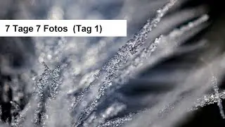 7 Tage 7 Fotos - Tag 1/7 - Heute ein Makro mit dem Olympus 30mm