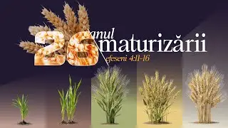 Transmisiune Live • Biserica Penticostală Elim Timișoara