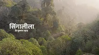 सिंगालीला के धुंधमय पहाड़ | Singalila Nation Park Tourism Locations 🗻 | @RoundglassSustain
