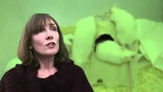 RSPCA Video: The RSPCA Pledges : Pledge 4 Research Animals