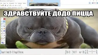 ЗДРАВСТВУЙТЕ ДОДО ПИЦЦА,но в Paint.net