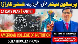 Gut-Brain Harmony: 10 Days to Better Sleep, Mood & Productivity!