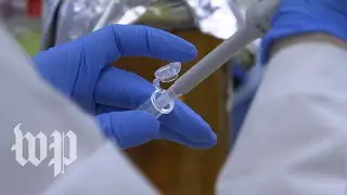 Why is it taking so long to develop a coronavirus vaccine?  One scientist explains.