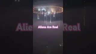 Aliens Fireworks Reaction #foryou #shorts #fireworks #reaction