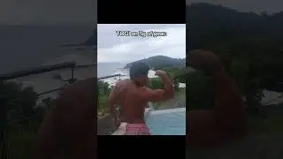 TOGI physique downfall