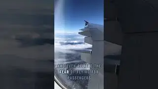 Why Airplane Seats Are Always Blue | Did You Know?