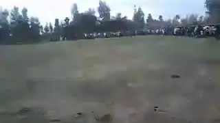 Gammadaa itiii ti boharaa