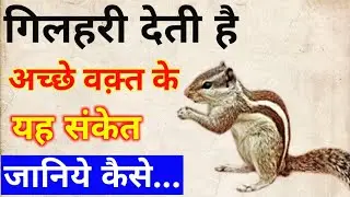 Gilahari Ke Shubh Sanket | गिलहरी के शुभ संकेत | Good Sing Of Squirrel | Vastushastra |Bageshwardham