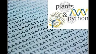 Working with sequences in Python