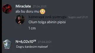 f1ddl36