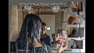 FUNCIONA REALMENTE ; Conseguir el pelo gris con Palette U71
