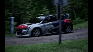 #AssettoCorsaRally 2026-01-11 タイムアタックRally4 アルザス Steigenbach 昼晴れdry, 5m5s, Peugeot 208 Rally4
