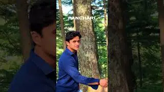 Panchari- J&k first Tourism Village 🕉️🙏 #katra #panchari #thetravelvishlist