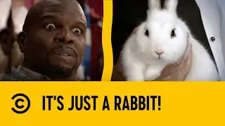 It's Just A Rabbit! | Everybody Hates Chris | Comedy Central Africa
