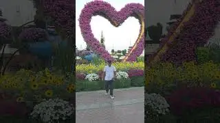 amazing view #dubai miracle garden natural flowers #youtubeshorts #shorts #viral #trending #trending