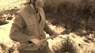 thewars