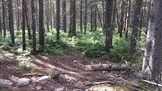 Backpack the Pemi - Shoal Pond Camping