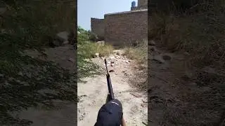 &ldquo;Insane Airgun Target Shooting (Near Perfect Aim!)&rdquo;
