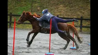 Mounted Games - Peter Dale La Scuderia 2018 - All The Way Up - Session 3