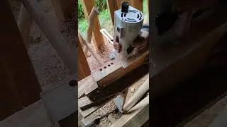 Cara mudah bobok kayu menggunakan mesin trimer #shorts #woodworking #wood