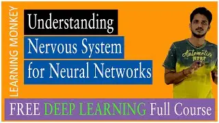 Understanding Nervous System for Neural Networks || Lesson 1 ||Deep Learning || Learning Monkey ||