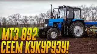 МТЗ 892 сеем кукурузу вместе с Т150-К и МТЗ-80.