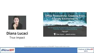Office Productivity: Creating Brain Friendly Environments
