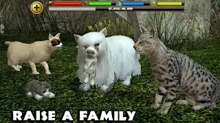 Stray Cat Simulator -Raise a Family- Android/iOS - Gameplay