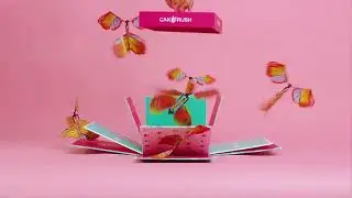 Butterfly Cake Explosion Gift Box - CakeRush