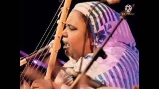 بت العرسان صباح & محمد الامين بصوت الكبيرة ديمي منت أب #اغاني #موريتانيا #العراق #مصر #السعودية